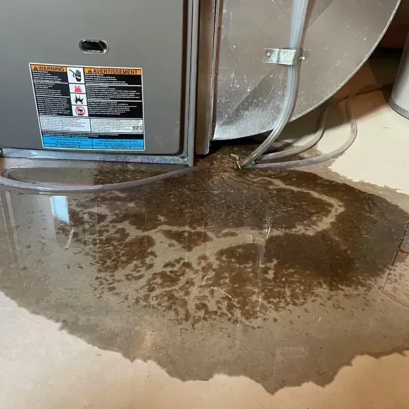 Appliance Leak Cleanup in Chicago Loop, IL